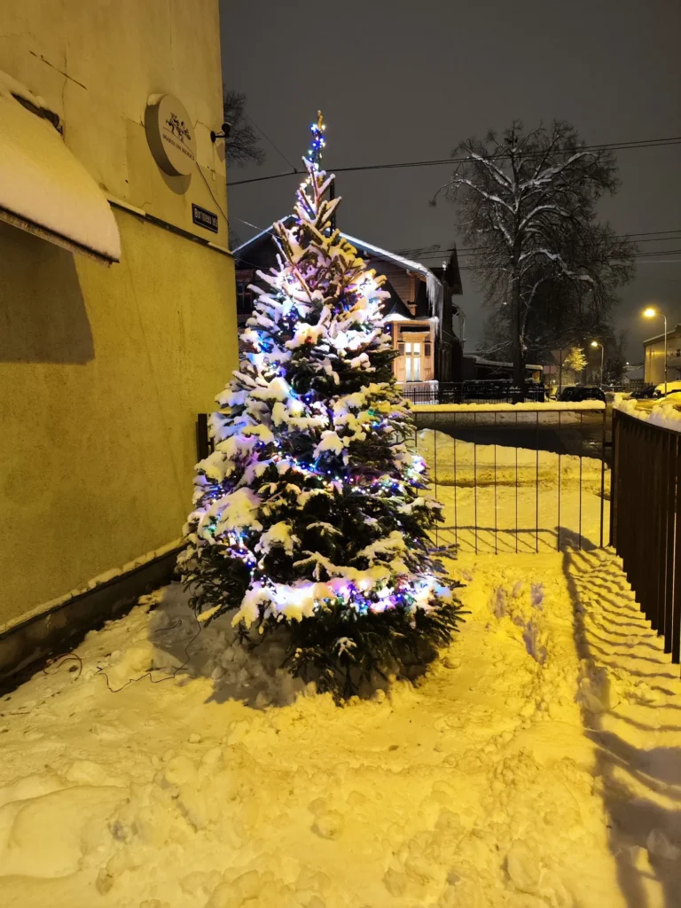 Izrotāta Ziemassvētku egle sniegā